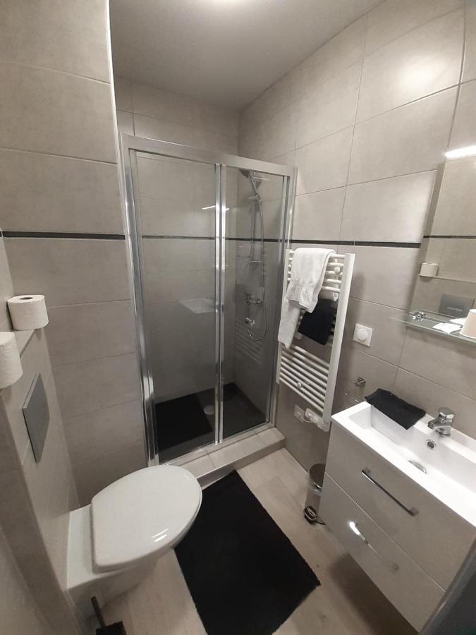 Les Appartements Du Saint Hubert Arcis-sur-Aube Ngoại thất bức ảnh